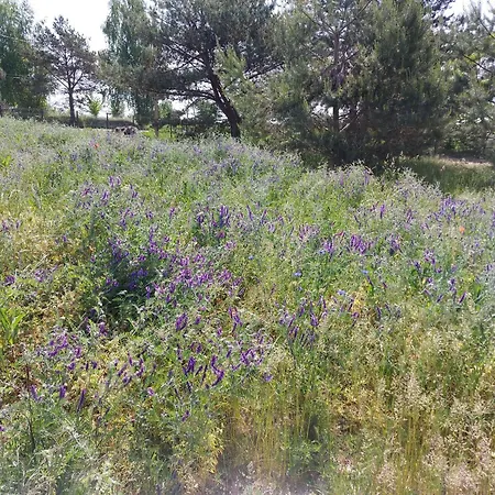 Haus Masuren, Bei Ilawa, Angelbootvermietung, Dom Czerwony I * Szwarcenowo