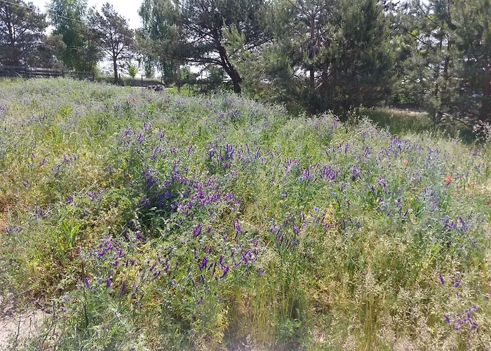 Haus Masuren, Bei Ilawa, Angelbootvermietung, Dom Czerwony I * Szwarcenowo